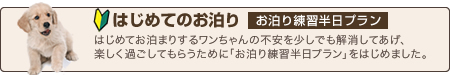 はじめてのお泊り