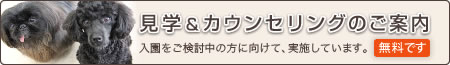 見学&カウンセリングのご案内