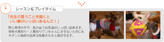 レッスン＆プレイタイム
