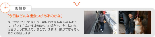 お散歩