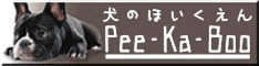 バナー