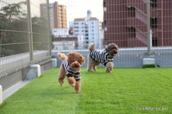 屋上の写真