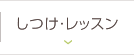 レッスン・合宿