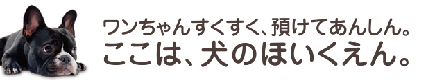 wanntyannワンちゃんすくすく、預けてあんしん。ここは、犬のほいくえん。