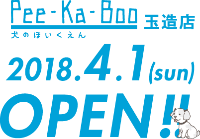 犬の保育園Pee-Ka-Boo玉造店／2018.4.1(sun)OPEN!!