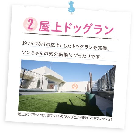 2.屋上ドッグラン／約75.28㎡の広々としたドッグランを完備。ワンちゃんの気分転換にぴったりです。屋上ドッグランでは、青空の下のびのびと走りまわってリフレッシュ！