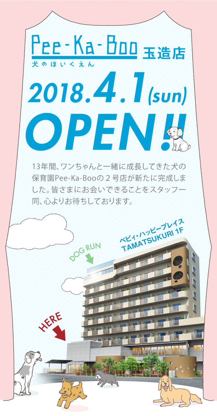 犬の保育園Pee-Ka-Boo玉造店／2018.4.1(sun)OPEN!!／17年間、ワンちゃんと一緒に成長してきた犬の保育園Pee-Ka-Booの２号店が新たに完成しました。皆さまにお会いできることをスタッフ一同、心よりお待ちしております。